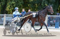 Dateiname=20251012_r05_020_R05_0092.jpg
Dateigröße=300KB
Abmessungen: 1000x667
hinzugefügt am: 14. Oktober 2025 20251012_r05_020_R05_0092.jpg