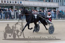 Dateiname=20251012_r05_034_R05_0132.jpg
Dateigröße=289KB
Abmessungen: 1000x667
hinzugefügt am: 14. Oktober 2025 20251012_r05_034_R05_0132.jpg