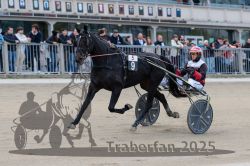 Dateiname=20251012_r05_035_R05_0136.jpg
Dateigröße=289KB
Abmessungen: 1000x667
hinzugefügt am: 14. Oktober 2025 20251012_r05_035_R05_0136.jpg