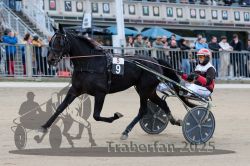 Dateiname=20251012_r05_037_R05_0143.jpg
Dateigröße=295KB
Abmessungen: 1000x667
hinzugefügt am: 14. Oktober 2025 20251012_r05_037_R05_0143.jpg