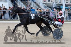 Dateiname=20251012_r05_038_R05_0146.jpg
Dateigröße=291KB
Abmessungen: 1000x667
hinzugefügt am: 14. Oktober 2025 20251012_r05_038_R05_0146.jpg