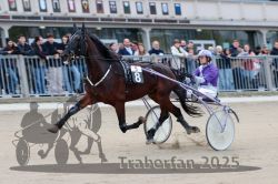 Dateiname=20251012_r05_039_R05_0147.jpg
Dateigröße=273KB
Abmessungen: 1000x667
hinzugefügt am: 14. Oktober 2025 20251012_r05_039_R05_0147.jpg