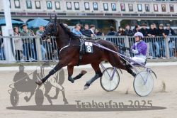 Dateiname=20251012_r05_041_R05_0151.jpg
Dateigröße=290KB
Abmessungen: 1000x667
hinzugefügt am: 14. Oktober 2025 20251012_r05_041_R05_0151.jpg