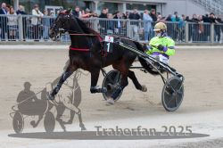 Dateiname=20251012_r05_046_R05_0167.jpg
Dateigröße=279KB
Abmessungen: 1000x667
hinzugefügt am: 14. Oktober 2025 20251012_r05_046_R05_0167.jpg