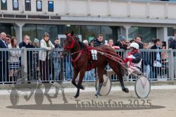 Dateiname=20251012_r05_051_R05_0183.jpg
Dateigröße=298KB
Abmessungen: 1000x667
hinzugefügt am: 14. Oktober 2025 20251012_r05_051_R05_0183.jpg