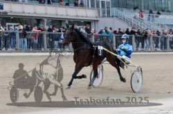 Dateiname=20251012_r05_053_R05_0186.jpg
Dateigröße=289KB
Abmessungen: 1000x667
hinzugefügt am: 14. Oktober 2025 20251012_r05_053_R05_0186.jpg