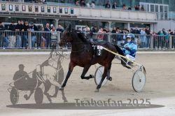 Dateiname=20251012_r05_055_R05_0190.jpg
Dateigröße=299KB
Abmessungen: 1000x667
hinzugefügt am: 14. Oktober 2025 20251012_r05_055_R05_0190.jpg