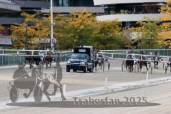 Dateiname=20251012_r05_059_R05_0206.jpg
Dateigröße=336KB
Abmessungen: 1000x667
hinzugefügt am: 14. Oktober 2025 20251012_r05_059_R05_0206.jpg