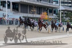 Dateiname=20251012_r05_063_R05_0213.jpg
Dateigröße=333KB
Abmessungen: 1000x667
hinzugefügt am: 14. Oktober 2025 20251012_r05_063_R05_0213.jpg