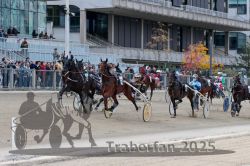 Dateiname=20251012_r05_065_R05_0220.jpg
Dateigröße=343KB
Abmessungen: 1000x667
hinzugefügt am: 14. Oktober 2025 20251012_r05_065_R05_0220.jpg