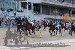 Dateiname=20251012_r05_066_R05_0223.jpg
Dateigröße=341KB
Abmessungen: 1000x667
hinzugefügt am: 14. Oktober 2025 20251012_r05_066_R05_0223.jpg