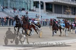 Dateiname=20251012_r05_067_R05_0226.jpg
Dateigröße=323KB
Abmessungen: 1000x667
hinzugefügt am: 14. Oktober 2025 20251012_r05_067_R05_0226.jpg