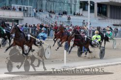 Dateiname=20251012_r05_070_R05_0238.jpg
Dateigröße=345KB
Abmessungen: 1000x667
hinzugefügt am: 14. Oktober 2025 20251012_r05_070_R05_0238.jpg