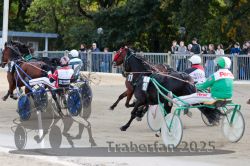 Dateiname=20251012_r05_074_R05_0252.jpg
Dateigröße=346KB
Abmessungen: 1000x667
hinzugefügt am: 14. Oktober 2025 20251012_r05_074_R05_0252.jpg