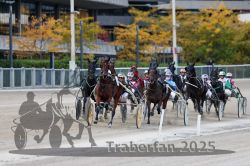 Dateiname=20251012_r05_076_R05_0259.jpg
Dateigröße=315KB
Abmessungen: 1000x667
hinzugefügt am: 14. Oktober 2025 20251012_r05_076_R05_0259.jpg