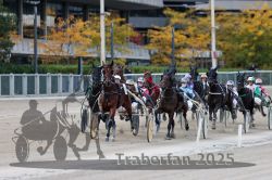 Dateiname=20251012_r05_077_R05_0263.jpg
Dateigröße=318KB
Abmessungen: 1000x667
hinzugefügt am: 14. Oktober 2025 20251012_r05_077_R05_0263.jpg