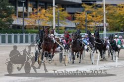 Dateiname=20251012_r05_078_R05_0266.jpg
Dateigröße=317KB
Abmessungen: 1000x667
hinzugefügt am: 14. Oktober 2025 20251012_r05_078_R05_0266.jpg