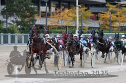 Dateiname=20251012_r05_080_R05_0274.jpg
Dateigröße=325KB
Abmessungen: 1000x667
hinzugefügt am: 14. Oktober 2025 20251012_r05_080_R05_0274.jpg