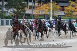 Dateiname=20251012_r05_081_R05_0277.jpg
Dateigröße=327KB
Abmessungen: 1000x667
hinzugefügt am: 14. Oktober 2025 20251012_r05_081_R05_0277.jpg