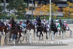 Dateiname=20251012_r05_083_R05_0286.jpg
Dateigröße=308KB
Abmessungen: 1000x667
hinzugefügt am: 14. Oktober 2025 20251012_r05_083_R05_0286.jpg