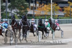 Dateiname=20251012_r05_085_R05_0292.jpg
Dateigröße=279KB
Abmessungen: 1000x667
hinzugefügt am: 14. Oktober 2025 20251012_r05_085_R05_0292.jpg