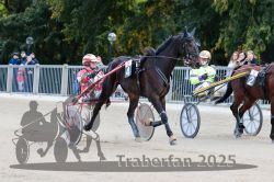 Dateiname=20251012_r06_005_R06_0023.jpg
Dateigröße=319KB
Abmessungen: 1000x667
hinzugefügt am: 14. Oktober 2025 20251012_r06_005_R06_0023.jpg