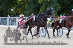 Dateiname=20251012_r06_006_R06_0027.jpg
Dateigröße=314KB
Abmessungen: 1000x667
hinzugefügt am: 14. Oktober 2025 20251012_r06_006_R06_0027.jpg