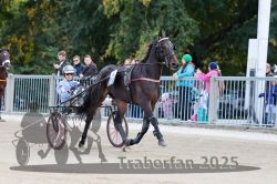 Dateiname=20251012_r06_007_R06_0031.jpg
Dateigröße=315KB
Abmessungen: 1000x667
hinzugefügt am: 14. Oktober 2025 20251012_r06_007_R06_0031.jpg