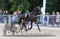 Dateiname=20251012_r06_008_R06_0036.jpg
Dateigröße=311KB
Abmessungen: 1000x667
hinzugefügt am: 14. Oktober 2025 20251012_r06_008_R06_0036.jpg