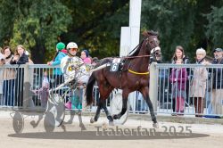 Dateiname=20251012_r06_010_R06_0046.jpg
Dateigröße=333KB
Abmessungen: 1000x667
hinzugefügt am: 14. Oktober 2025 20251012_r06_010_R06_0046.jpg