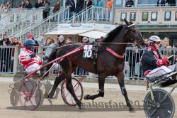 Dateiname=20251012_r06_018_R06_0087.jpg
Dateigröße=340KB
Abmessungen: 1000x667
hinzugefügt am: 14. Oktober 2025 20251012_r06_018_R06_0087.jpg