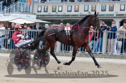 Dateiname=20251012_r06_019_R06_0092.jpg
Dateigröße=333KB
Abmessungen: 1000x667
hinzugefügt am: 14. Oktober 2025 20251012_r06_019_R06_0092.jpg