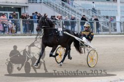 Dateiname=20251012_r06_023_R06_0114.jpg
Dateigröße=291KB
Abmessungen: 1000x667
hinzugefügt am: 14. Oktober 2025 20251012_r06_023_R06_0114.jpg