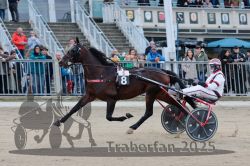 Dateiname=20251012_r06_041_R06_0155.jpg
Dateigröße=316KB
Abmessungen: 1000x667
hinzugefügt am: 14. Oktober 2025 20251012_r06_041_R06_0155.jpg