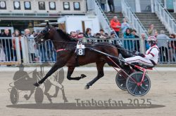 Dateiname=20251012_r06_042_R06_0159.jpg
Dateigröße=298KB
Abmessungen: 1000x667
hinzugefügt am: 14. Oktober 2025 20251012_r06_042_R06_0159.jpg