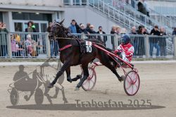 Dateiname=20251012_r06_043_R06_0161.jpg
Dateigröße=286KB
Abmessungen: 1000x667
hinzugefügt am: 14. Oktober 2025 20251012_r06_043_R06_0161.jpg