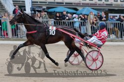 Dateiname=20251012_r06_051_R06_0178.jpg
Dateigröße=301KB
Abmessungen: 1000x667
hinzugefügt am: 14. Oktober 2025 20251012_r06_051_R06_0178.jpg