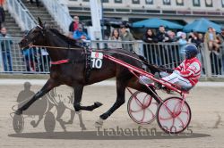 Dateiname=20251012_r06_052_R06_0179.jpg
Dateigröße=296KB
Abmessungen: 1000x667
hinzugefügt am: 14. Oktober 2025 20251012_r06_052_R06_0179.jpg