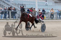 Dateiname=20251012_r06_054_R06_0183.jpg
Dateigröße=280KB
Abmessungen: 1000x667
hinzugefügt am: 14. Oktober 2025 20251012_r06_054_R06_0183.jpg