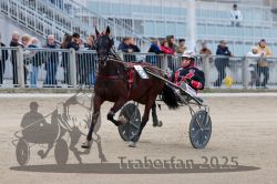 Dateiname=20251012_r06_055_R06_0184.jpg
Dateigröße=283KB
Abmessungen: 1000x667
hinzugefügt am: 14. Oktober 2025 20251012_r06_055_R06_0184.jpg