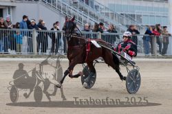 Dateiname=20251012_r06_056_R06_0187.jpg
Dateigröße=286KB
Abmessungen: 1000x667
hinzugefügt am: 14. Oktober 2025 20251012_r06_056_R06_0187.jpg