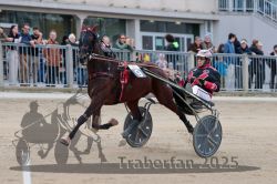 Dateiname=20251012_r06_059_R06_0194.jpg
Dateigröße=288KB
Abmessungen: 1000x667
hinzugefügt am: 14. Oktober 2025 20251012_r06_059_R06_0194.jpg