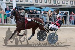 Dateiname=20251012_r06_064_R06_0209.jpg
Dateigröße=318KB
Abmessungen: 1000x667
hinzugefügt am: 14. Oktober 2025 20251012_r06_064_R06_0209.jpg