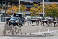 Dateiname=20251012_r06_065_R06_0214.jpg
Dateigröße=317KB
Abmessungen: 1000x667
hinzugefügt am: 14. Oktober 2025 20251012_r06_065_R06_0214.jpg