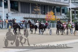 Dateiname=20251012_r06_067_R06_0224.jpg
Dateigröße=322KB
Abmessungen: 1000x667
hinzugefügt am: 14. Oktober 2025 20251012_r06_067_R06_0224.jpg