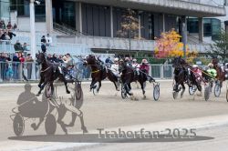 Dateiname=20251012_r06_068_R06_0226.jpg
Dateigröße=334KB
Abmessungen: 1000x667
hinzugefügt am: 14. Oktober 2025 20251012_r06_068_R06_0226.jpg