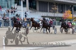 Dateiname=20251012_r06_069_R06_0229.jpg
Dateigröße=332KB
Abmessungen: 1000x667
hinzugefügt am: 14. Oktober 2025 20251012_r06_069_R06_0229.jpg