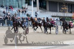 Dateiname=20251012_r06_070_R06_0232.jpg
Dateigröße=331KB
Abmessungen: 1000x667
hinzugefügt am: 14. Oktober 2025 20251012_r06_070_R06_0232.jpg