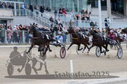 Dateiname=20251012_r06_073_R06_0236.jpg
Dateigröße=317KB
Abmessungen: 1000x667
hinzugefügt am: 14. Oktober 2025 20251012_r06_073_R06_0236.jpg