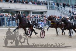 Dateiname=20251012_r06_075_R06_0242.jpg
Dateigröße=299KB
Abmessungen: 1000x667
hinzugefügt am: 14. Oktober 2025 20251012_r06_075_R06_0242.jpg